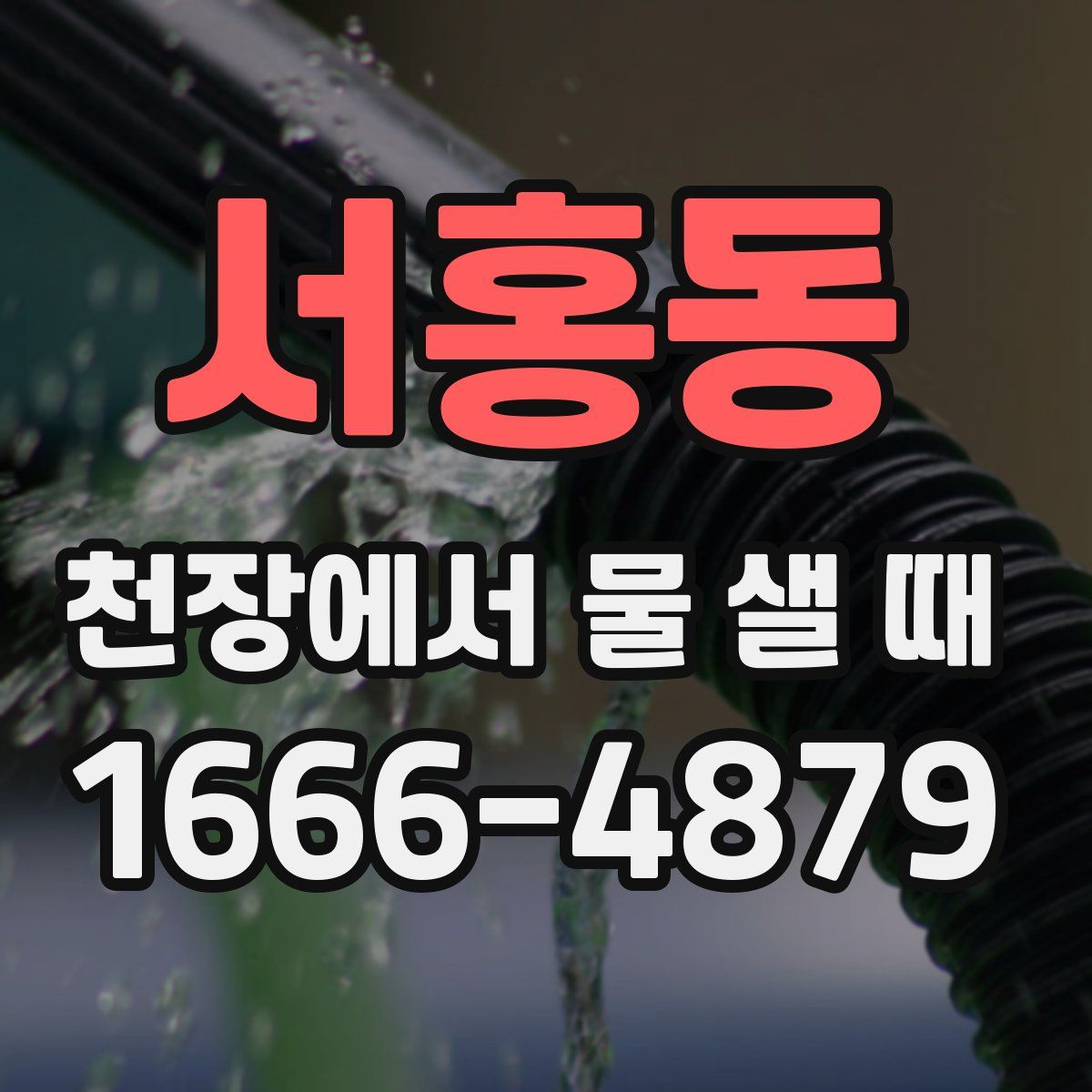 서홍동 천장에서 물 샐 때