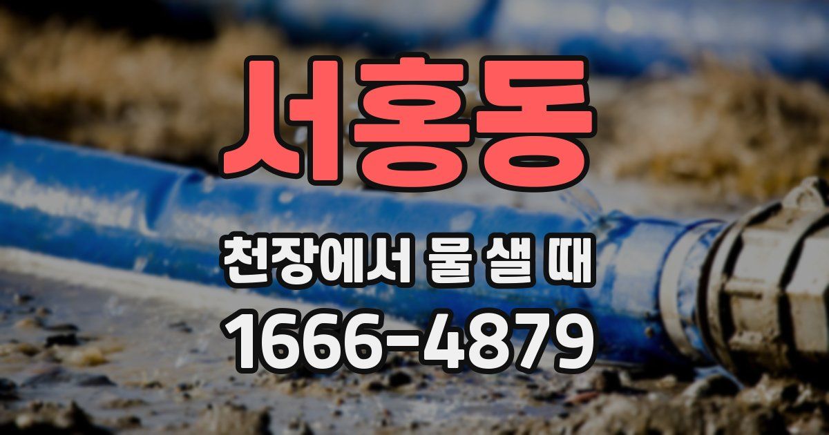 서홍동 천장에서 물 샐 때