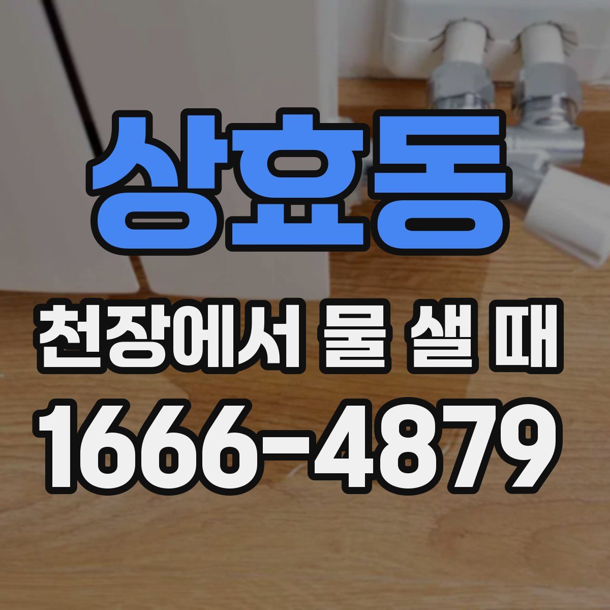 상효동 천장에서 물 샐 때