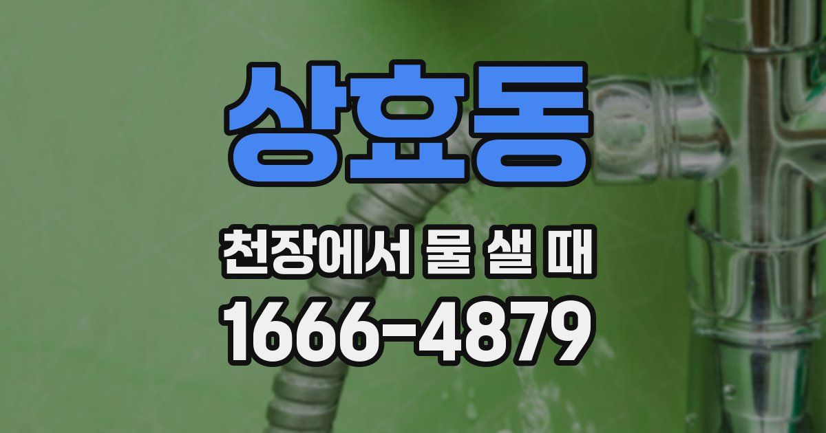 상효동 천장에서 물 샐 때