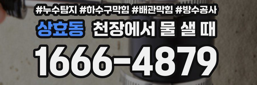 상효동 천장에서 물 샐 때