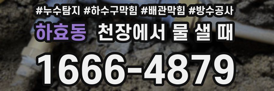 하효동 천장에서 물 샐 때