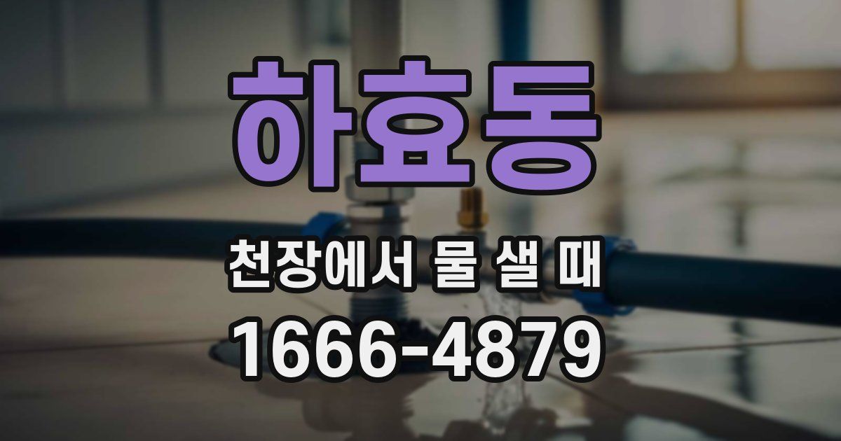 하효동 천장에서 물 샐 때