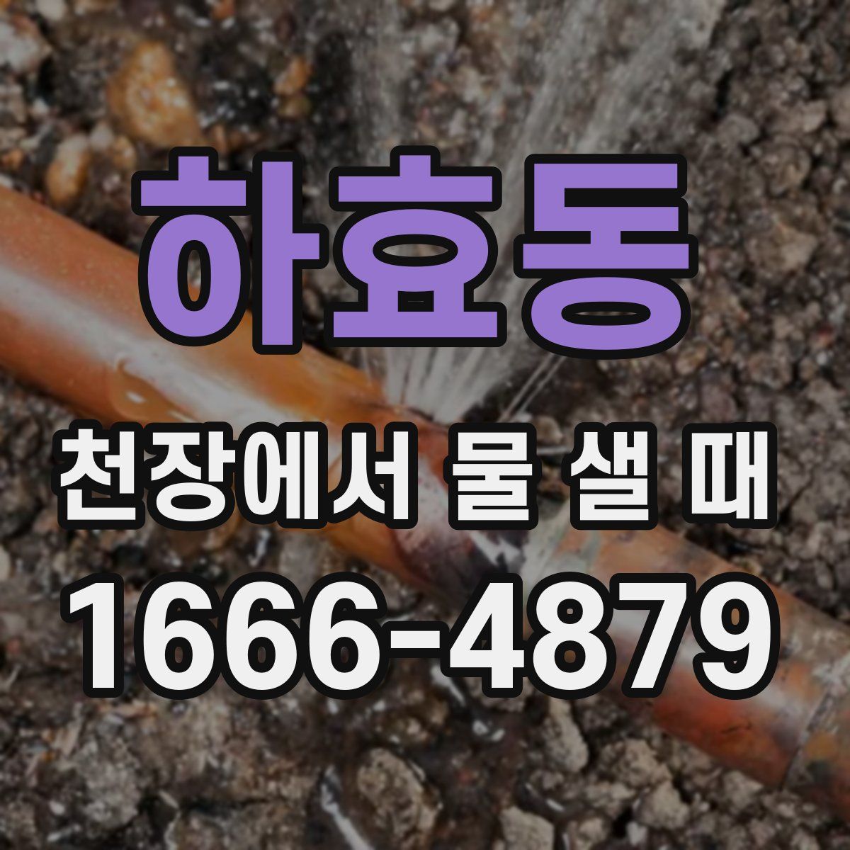 하효동 천장에서 물 샐 때