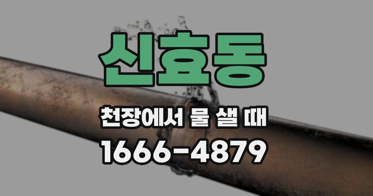 신효동 천장에서 물 샐 때