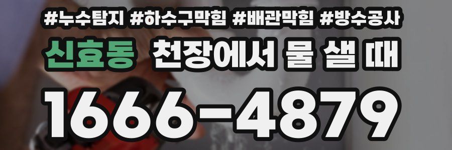 신효동 천장에서 물 샐 때