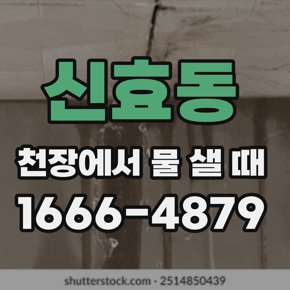 신효동 천장에서 물 샐 때