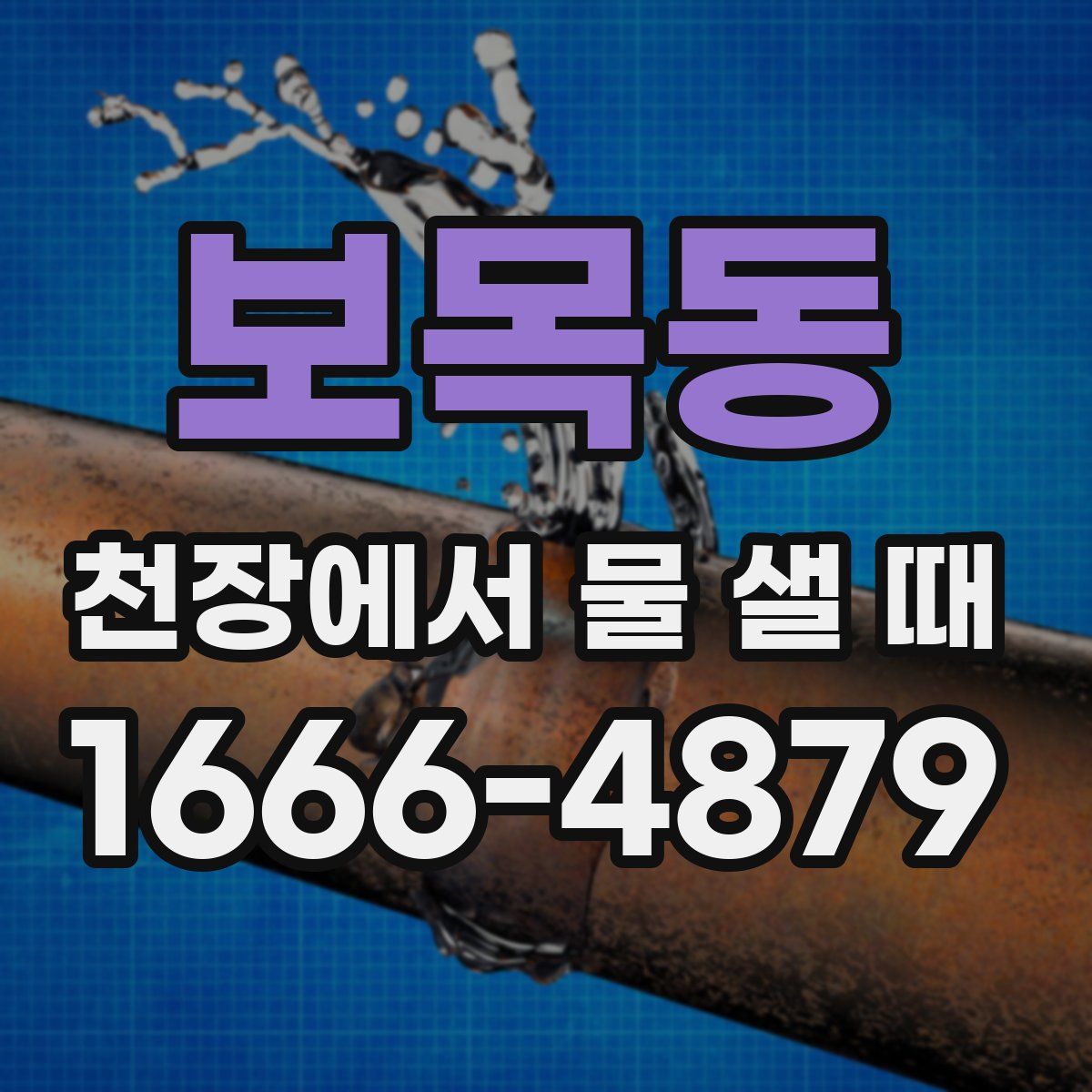 보목동 천장에서 물 샐 때