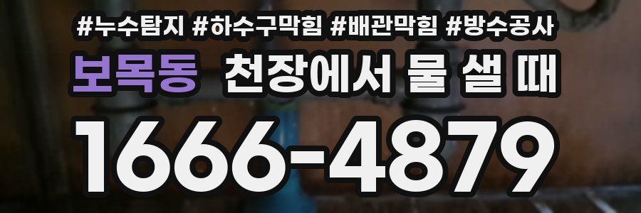 보목동 천장에서 물 샐 때