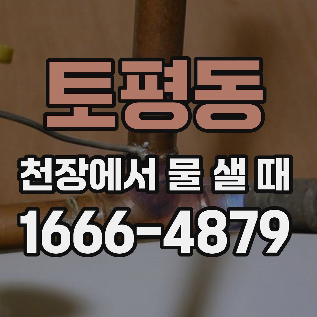 토평동 천장에서 물 샐 때