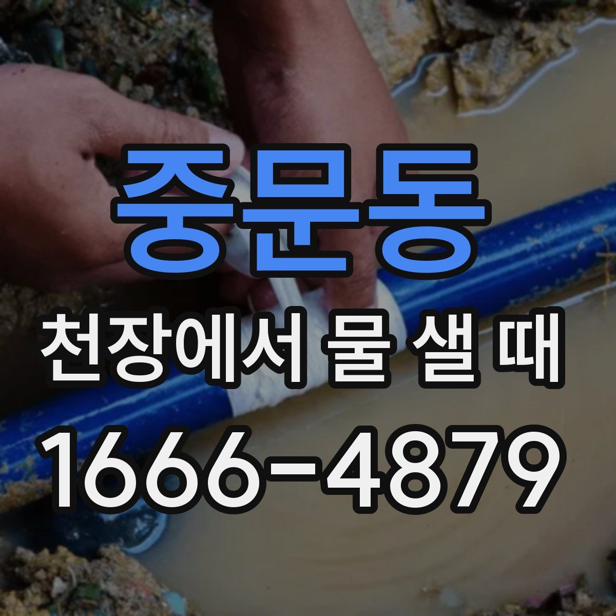 중문동 천장에서 물 샐 때