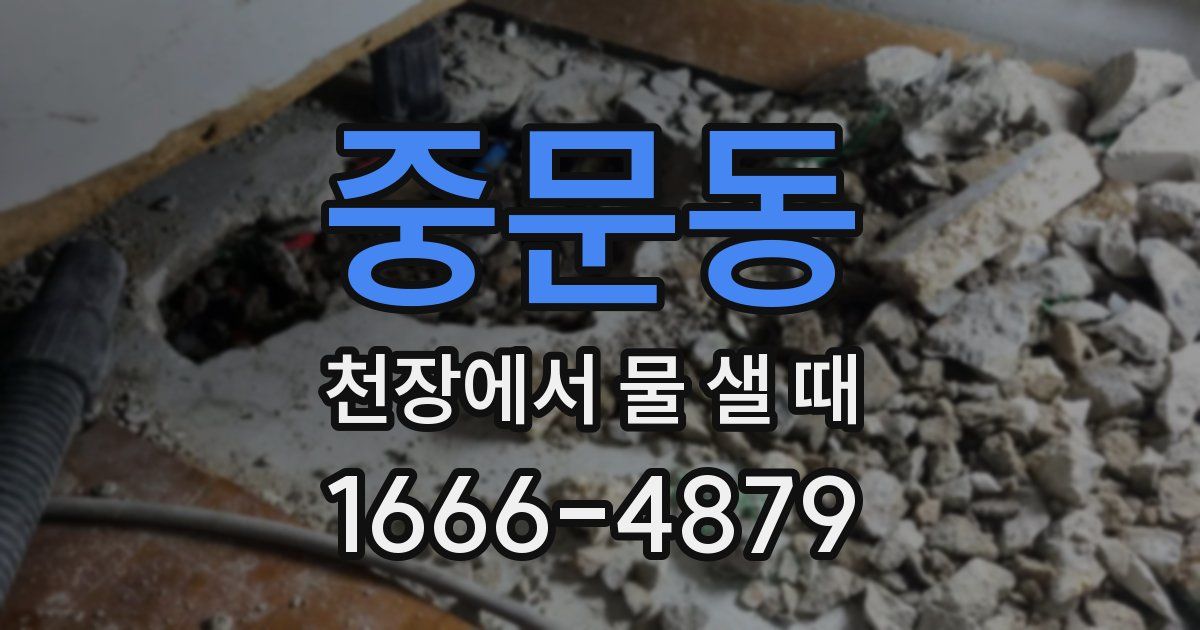 중문동 천장에서 물 샐 때