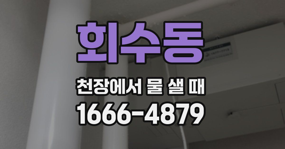 회수동 천장에서 물 샐 때