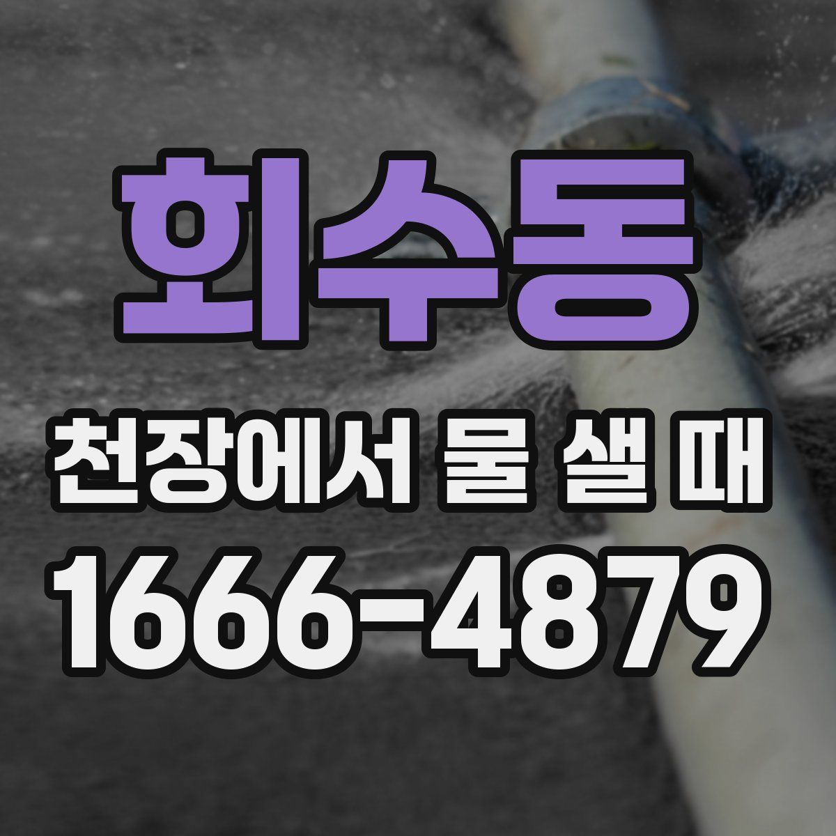 회수동 천장에서 물 샐 때
