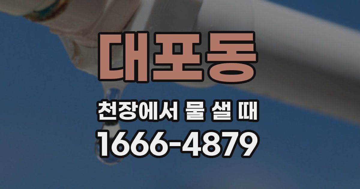 대포동 천장에서 물 샐 때
