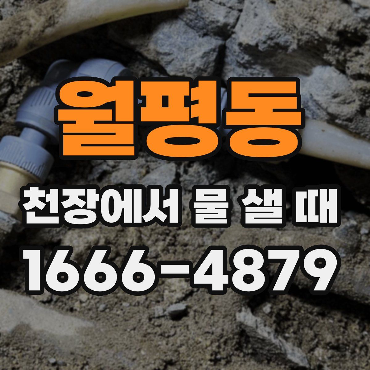 월평동 천장에서 물 샐 때