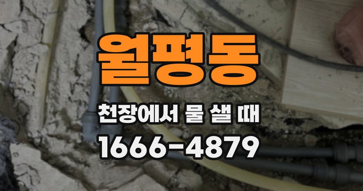 월평동 천장에서 물 샐 때