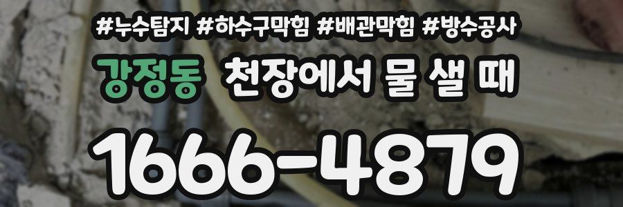 강정동 천장에서 물 샐 때