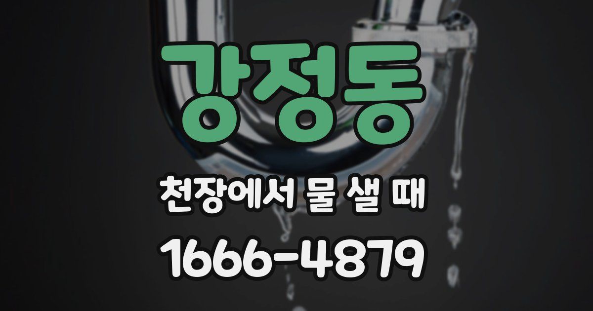 강정동 천장에서 물 샐 때