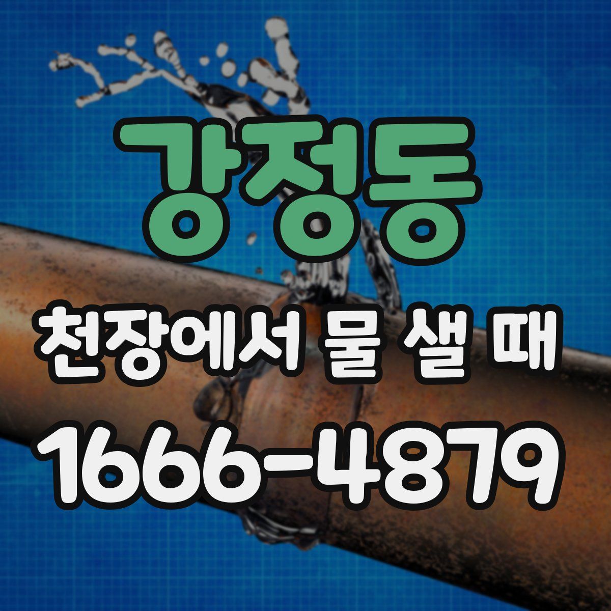 강정동 천장에서 물 샐 때