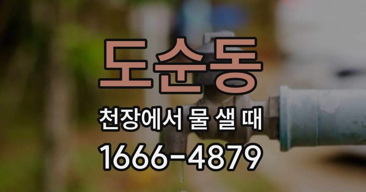 도순동 천장에서 물 샐 때