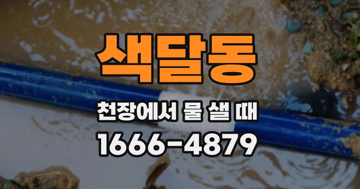 색달동 천장에서 물 샐 때
