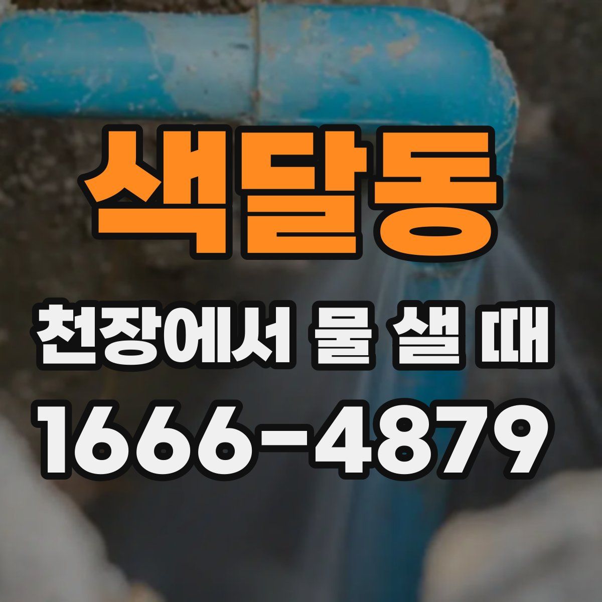 색달동 천장에서 물 샐 때