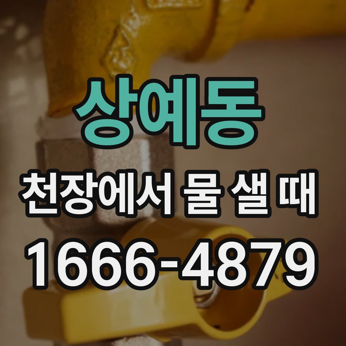상예동 천장에서 물 샐 때