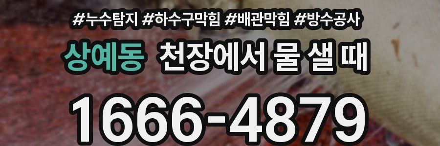 상예동 천장에서 물 샐 때
