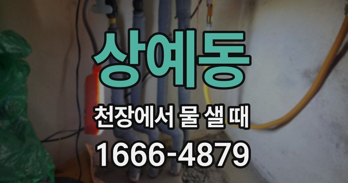 상예동 천장에서 물 샐 때