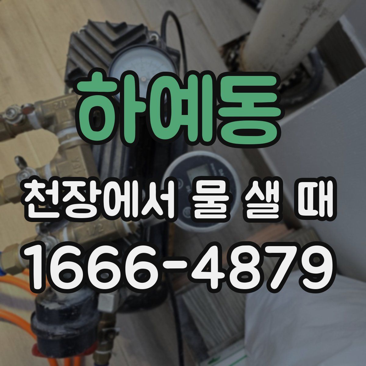 하예동 천장에서 물 샐 때