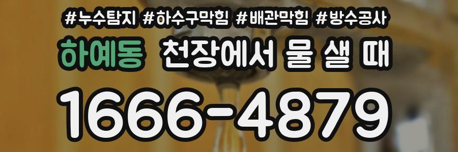 하예동 천장에서 물 샐 때