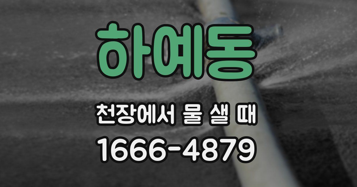 하예동 천장에서 물 샐 때