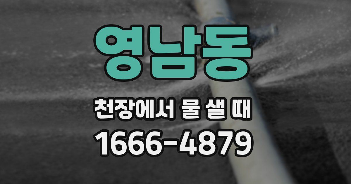 영남동 천장에서 물 샐 때