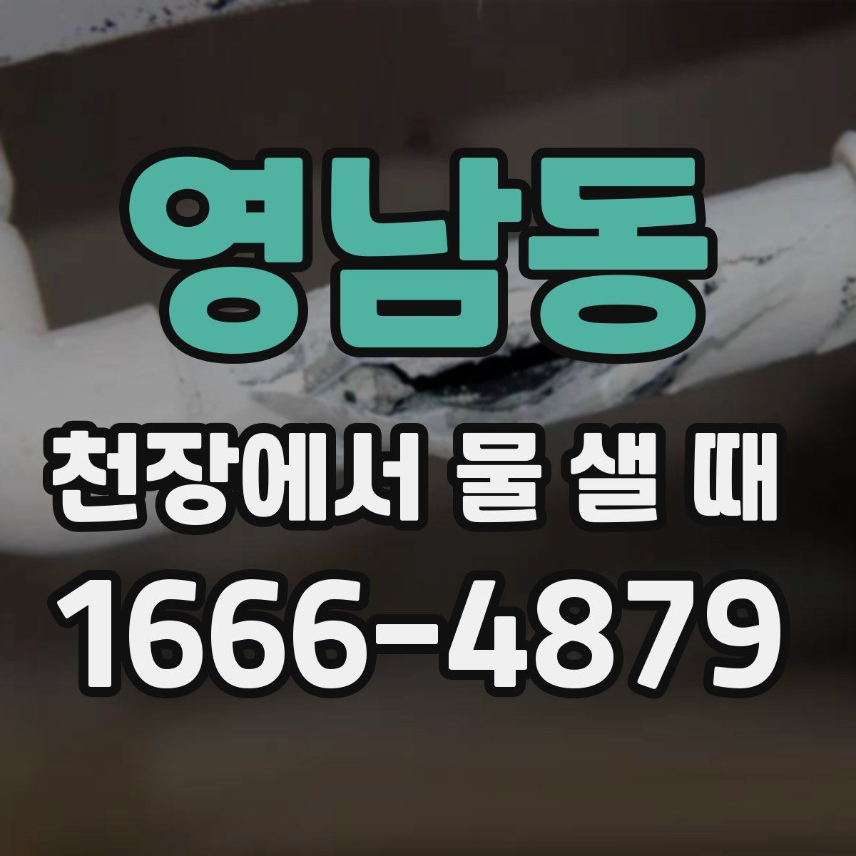 영남동 천장에서 물 샐 때