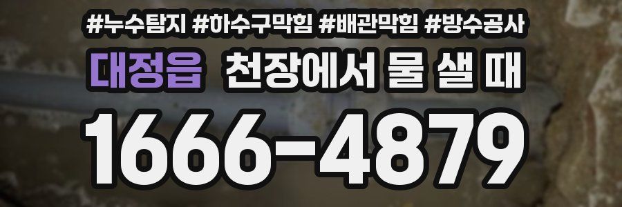 대정읍 천장에서 물 샐 때