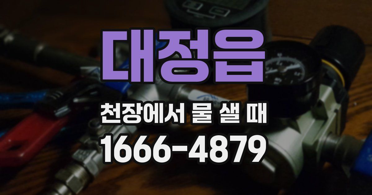 대정읍 천장에서 물 샐 때