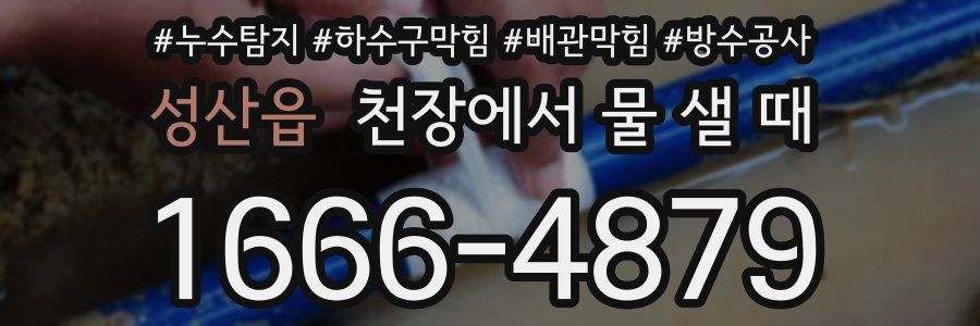 성산읍 천장에서 물 샐 때
