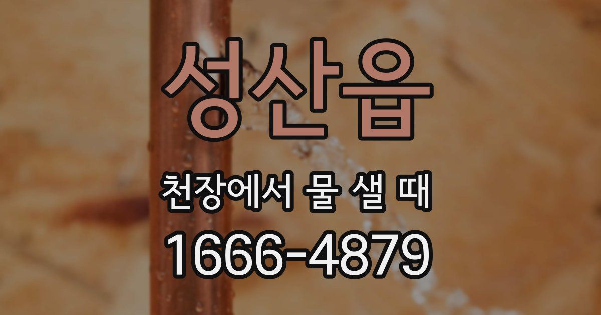 성산읍 천장에서 물 샐 때