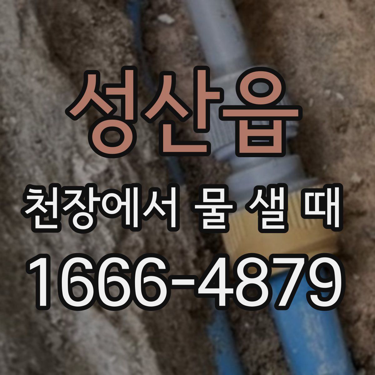 성산읍 천장에서 물 샐 때