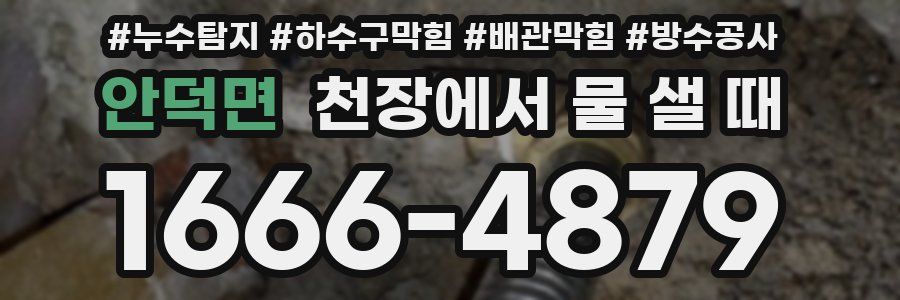 안덕면 천장에서 물 샐 때