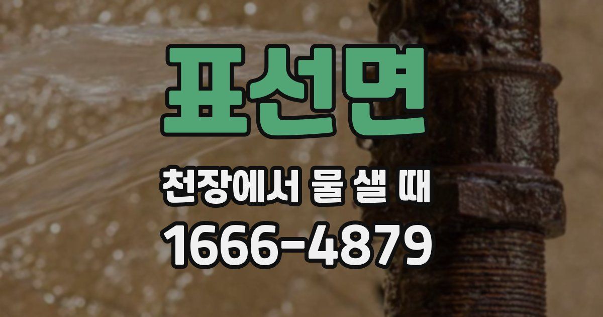 표선면 천장에서 물 샐 때