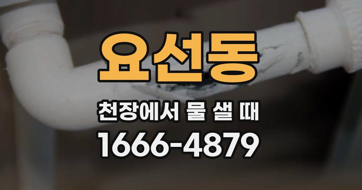 요선동 천장에서 물 샐 때