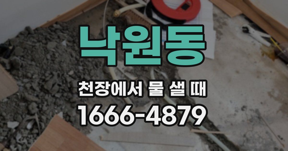 낙원동 천장에서 물 샐 때