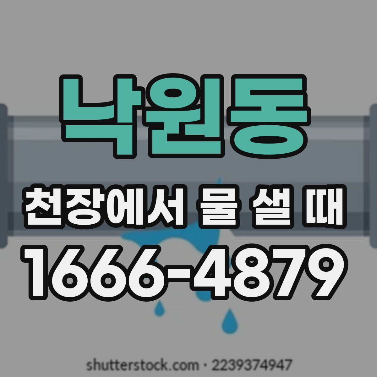 낙원동 천장에서 물 샐 때