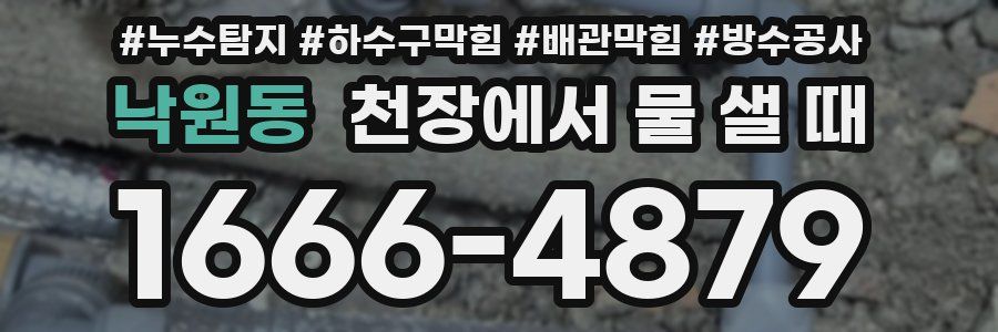 낙원동 천장에서 물 샐 때