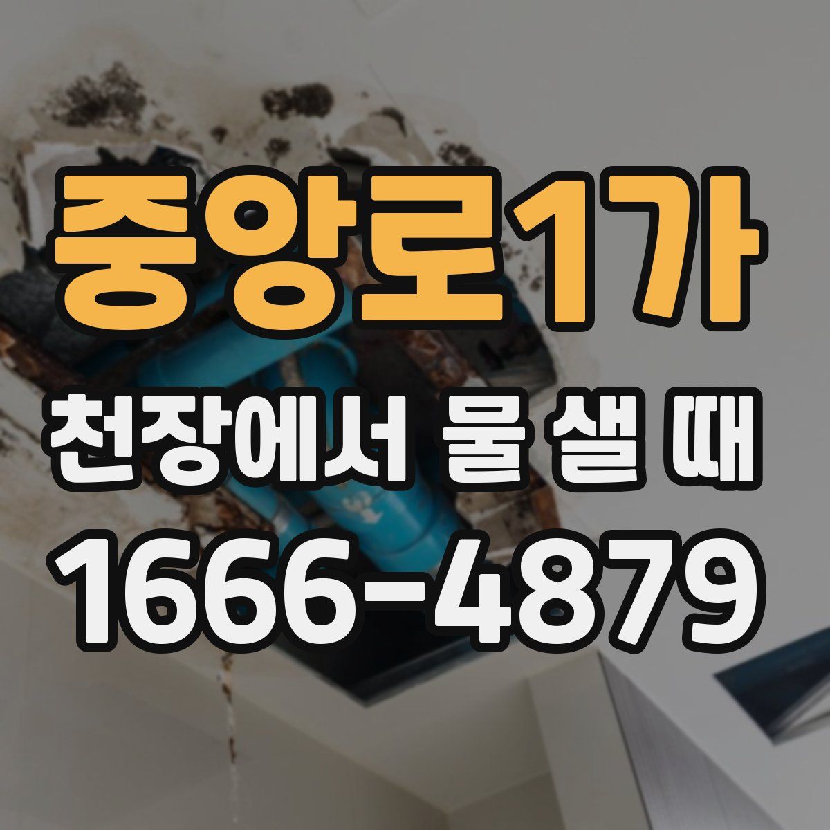 중앙로1가 천장에서 물 샐 때