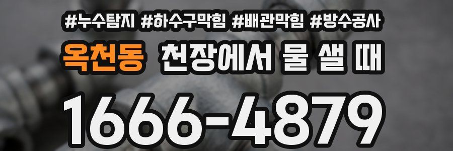 옥천동 천장에서 물 샐 때