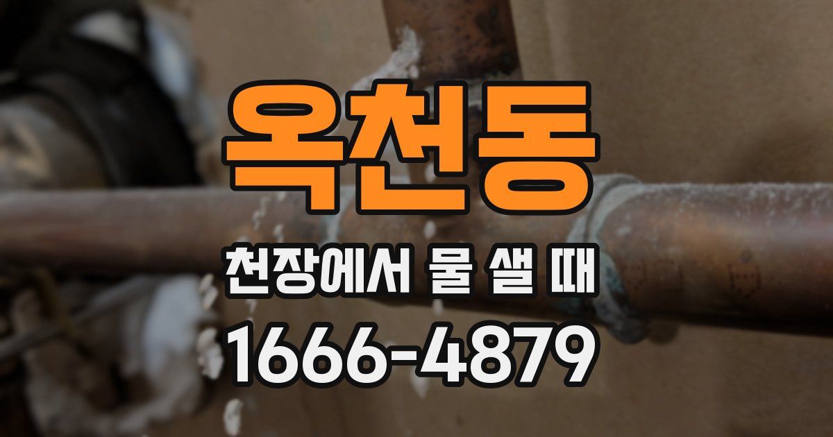 옥천동 천장에서 물 샐 때