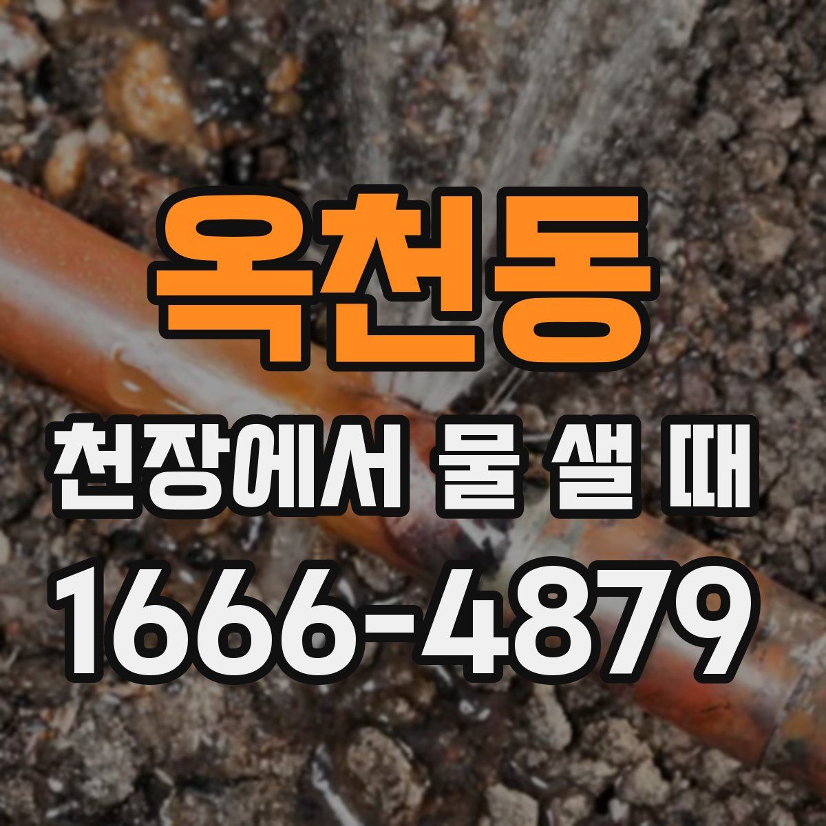 옥천동 천장에서 물 샐 때